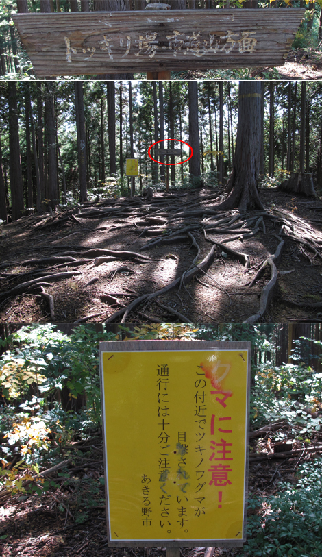 20171026hike (98)